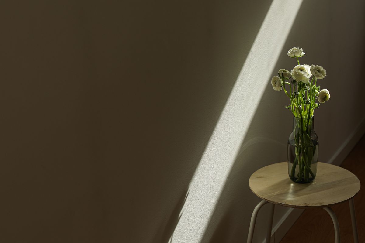 Delicate white flowers in a glass vase with soft light